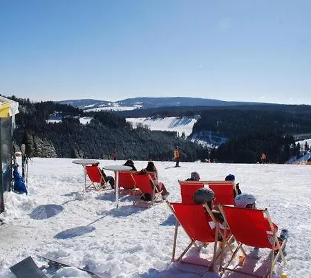 Welcome In - Gerenoveerde Op 200 Meter De Skipiste - Neuastenbergerstrasse 4