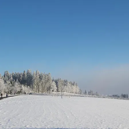 Welcome In - Neuastenbergerstrasse 4, Neuastenberg-winterberg