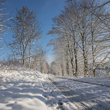 Welcome In - Gerenoveerde Op 200 Meter De Skipiste - Neuastenbergerstrasse 4